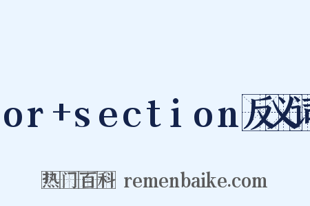 or+section反义词是什么意思的图片